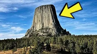 Scientists Discover a Secret Hidden Inside the World&rsquo;s Largest Tree &mdash; What They Find Is Mind Blowing