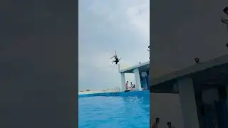 Reverse airbag flip enjoy swimming pool#viralvideo #stunt #parkour