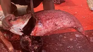 I never seen ll amazing big Biket fish cutting live skills by expert fish cutter in Bangladesh 