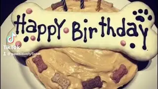 How to make a homemade dog Birthday cake 🎂