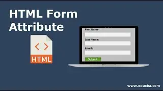 #26  The Name Attribute | The Web Developer Bootcamp 2021 | Complete Web development | #webdeveloper