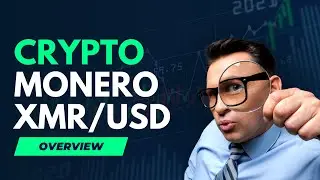 Monero Unveiled: The Leading Privacy Coin for Untraceable Transactions