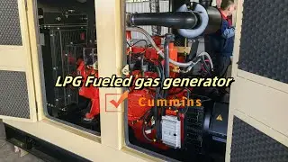 LPG fueled propane gas generator set 50kw #gasgenerator #LPG #generatorset #uleenGen #generadordegas