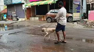 சிவகங்கையில் ஒரு மழைக்காலம்/ 2025.