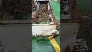 CONVEYOR CLEANING.1
