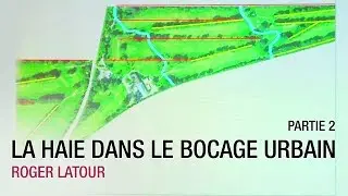 Conf&eacute;rence La haie dans le bocage urbain par Roger Latour - Partie 2