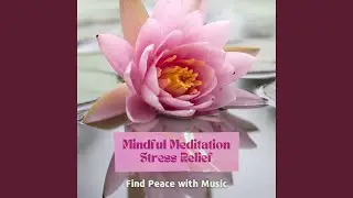 Mindful Meditation Stress Relief