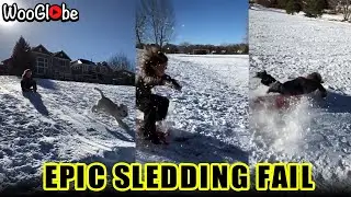 Funny Snow Sledding Fail - WooGlobe Funnies