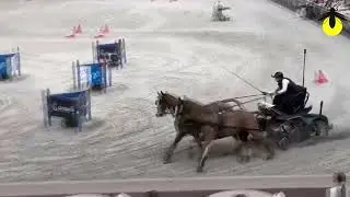 Cavaliada Sopot 2025