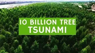 10 BILLION TREE TSUNAMI - #Plant4Pakistan - 2/9/18 | NPTV