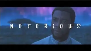 BLACK PANTHER | KING'S DEAD