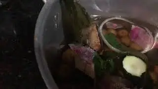 Midwest Mermaid Muse Cooking Demo