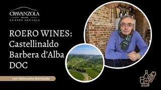 Roero Wines: The Subzone Castellinaldo Barbera d&rsquo;Alba DOC. Giancarlo Montaldo journalist
