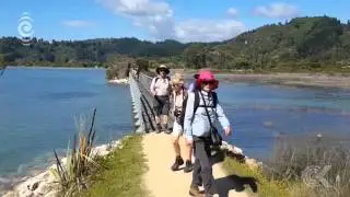 Wasp eradication programme trialled in Abel Tasman: RNZ Checkpoint