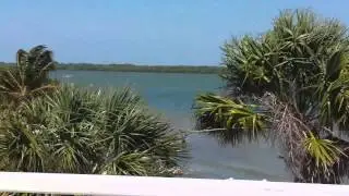 Beautiful Sanibel Island♡