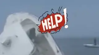 The Moment a Whale Capsized a Boat