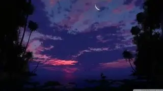 Neonsol - Black Sunday HD