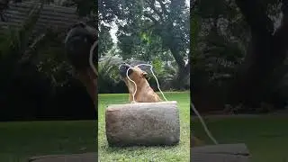 Outline Challenge