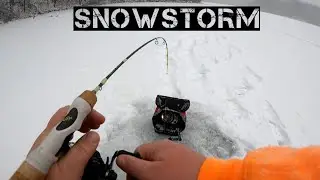 Ice Fishing in a Snow Storm!! (Wisconsin Ice Fishing)