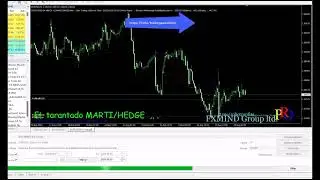 Remarkable Forex EA Robot - XAU Miner Forex Robot EA - Professional Best-Selling Forex EA Download
