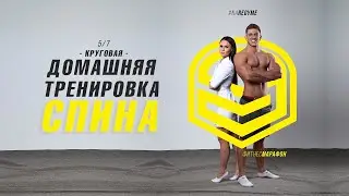 Домашняя круговая тренировка на спину (5 из 7)