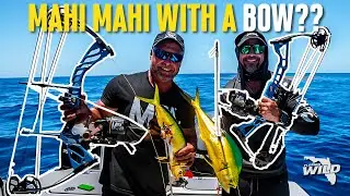 Mahi Mahi with a Bow?! | Florida Wild Offshore Bowfishing Adventure