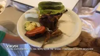 День первый. Mahdia beach hotel.