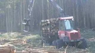 Cutting timber above Nether Silton, North Yorkshire Moors