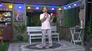 Hồng Lệ