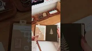passport traveler&rsquo;s notebook setup 🤎
