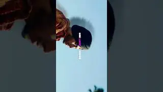 One Love 🌻 X Shubh || 4k Edit video || Slowed Reverb || #shubh #onelove