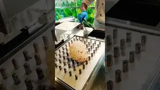live pulka make chef #live #pulka #shorts #food
