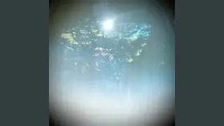 Presence Building
