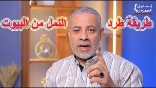 طريقة طرد النمل من البيوت / اسماعيل الجعبيري