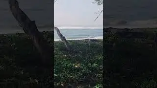 #shorts #shortvideo #short #nature  #beautifulbali #dessert #love #baliparadise