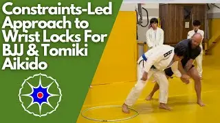Constraints Led Approach to Wrist Locks for BJJ & Tomiki Aikido