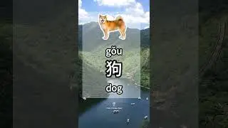 how to say dog in chinese? #learnchinese