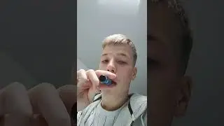 Elfbar Test