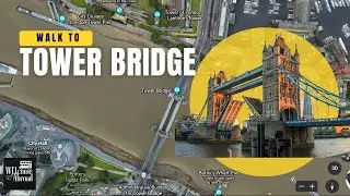 Walk to The Tower Bridge | London Pool | London Walks
