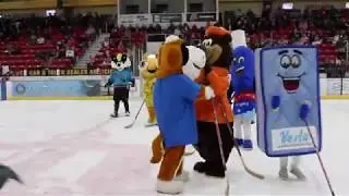 Small Dog Races/Mascot Mania