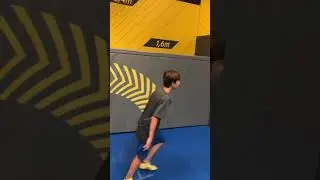 PALM FLIP - HOP ARENA LIBEREC