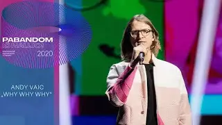 Andy Vaic &ndash; &bdquo;Why Why Why&ldquo; | Pabandom i&scaron; naujo! 2020