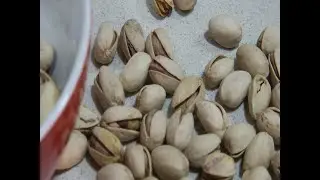 Los pistachos son una proteína completa como el pescado o la carne, según un estudio