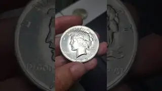 PEACE DOLLAR & SILVER EAGLE COIN COLLECTION PURCHASED FOR $200!
