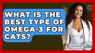 What Is The Best Type Of Omega-3 For Cats? - Ask A Pet Vet