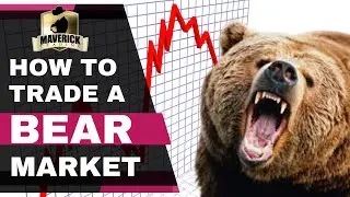 Trading a Bear Market - Making Money in Uncertain Times
