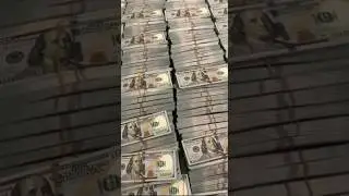 💵Great 51.4 Million Dollars Cash Money #dollar #millionaire #us #trading #trader #million #cash
