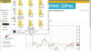How do upload indicator in Metatrader