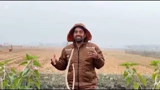 Practice English in a beautiful and misty winter morning