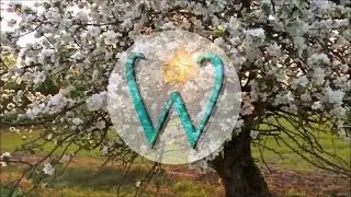 Summer 2017 - Wish and Whim Jewelry - Commercial
